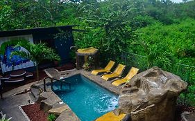 The Jungle Container